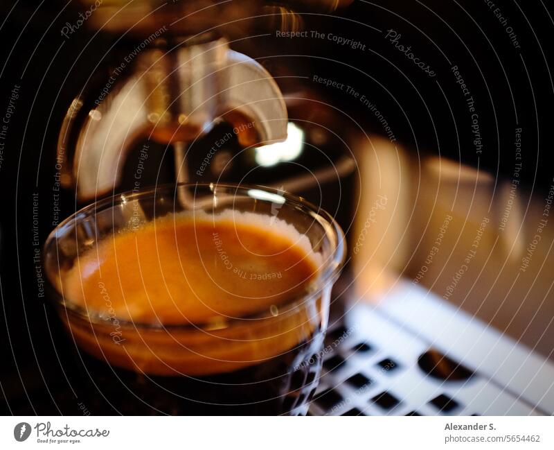 Doppelter Espresso im Glas unter einem Siebträger einer Espressomaschine Getränk Kaffeetasse Café Heißgetränk Kaffeepause Kaffeetrinken Koffein Kaffeemaschine