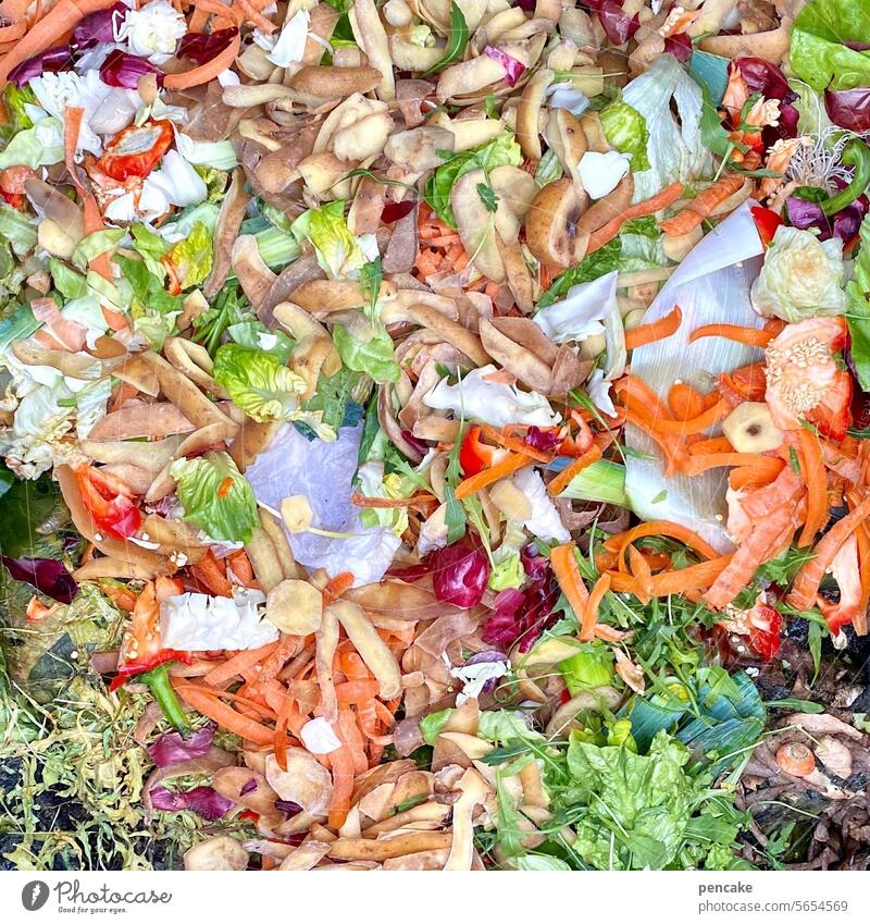 weg damit! | auf den kompost organisch abfall Wiederverwertung Kreislauf Biotonne erde Komposterde Nahrung Garten wachsen Gemüse Nährstoffe dünger leben