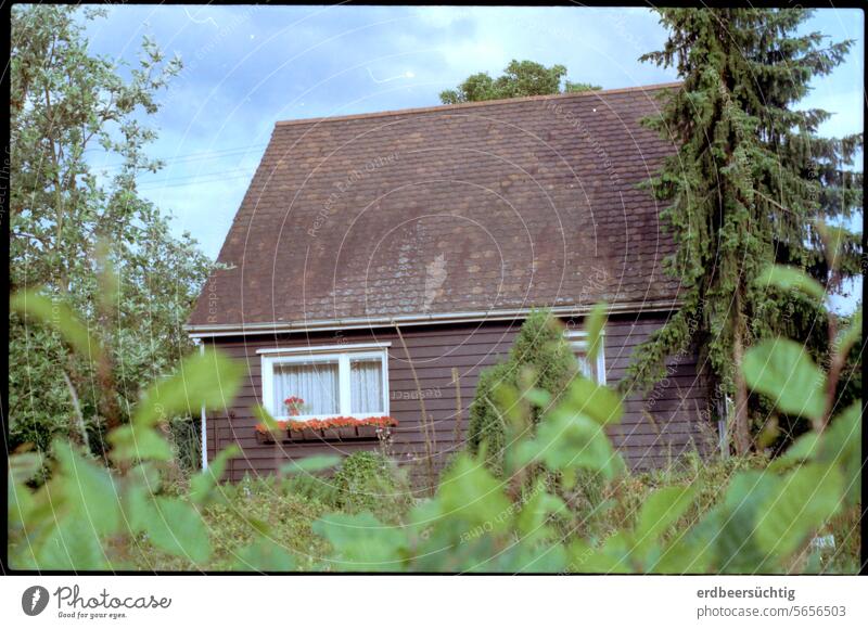 Vorstadtidyll - in die Jahre gekommenes, kleines Haus mit verwildertem Garten Kleinstadt Stadtrand Häuschen Holzhaus Idyll bürgerlich Bäume grün überwuchert