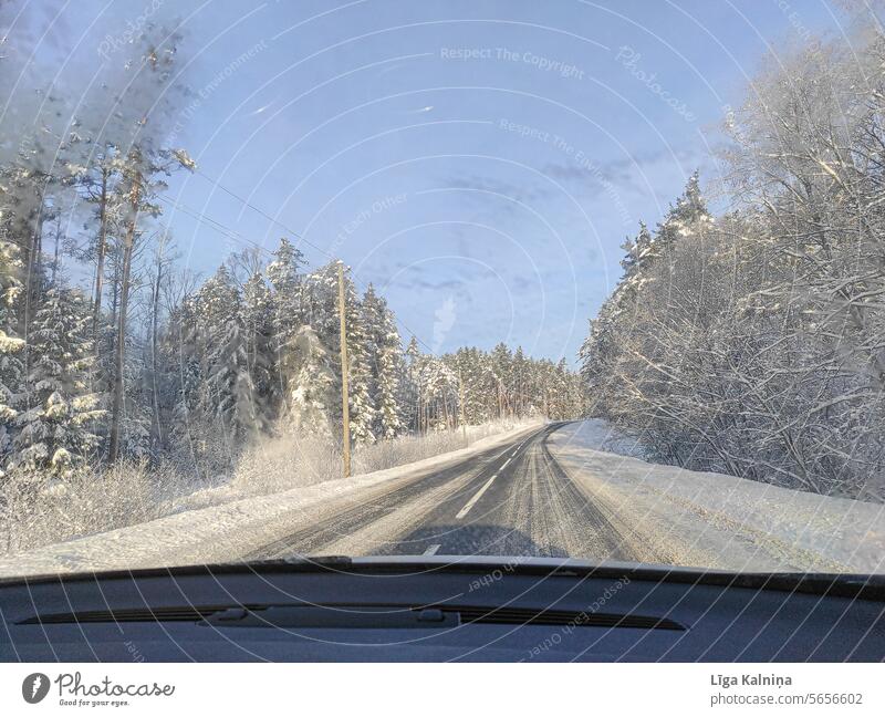 Blick durch ein Autofenster, Winterlandschaft Sichtweise Autoreise Straße Farbfoto Bäume Winterwald gefroren Schnee Natur im Freien Wald Baum Pflanze Wintertag