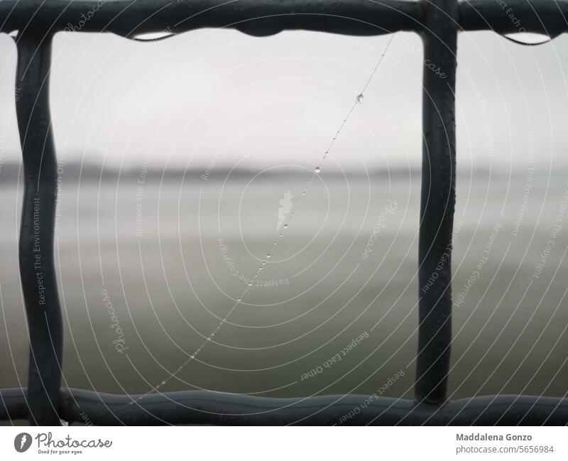 ein nasser Spinnennetzfaden, der an einem Metallzaun hängt Faser Zaun Tropfen Regen Wassertropfen Außenaufnahme filigran hängend widerstandsfähig erhängen