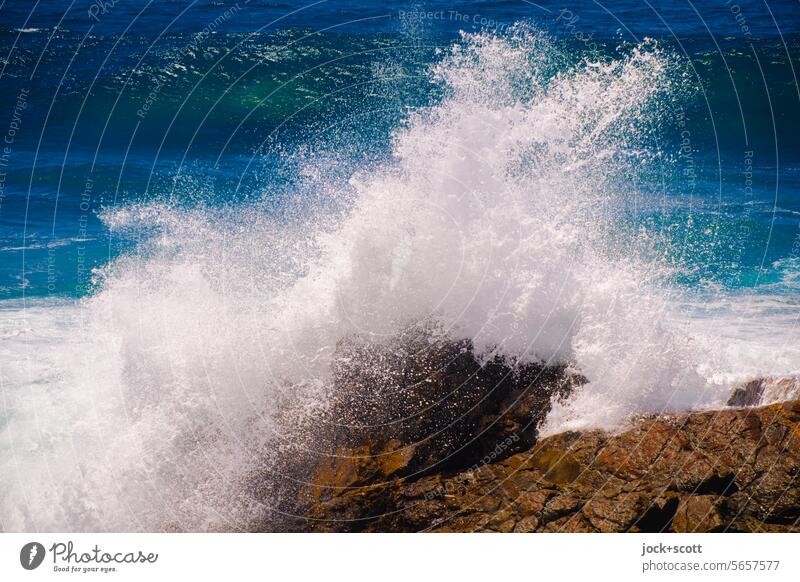 stürmische Welle trifft auf Fels in der Brandung Wellen Felsen wild Urelemente Natur Gischt Naturgewalt Meer Südpazifik Energie Kraft stark Bewegungsenergie