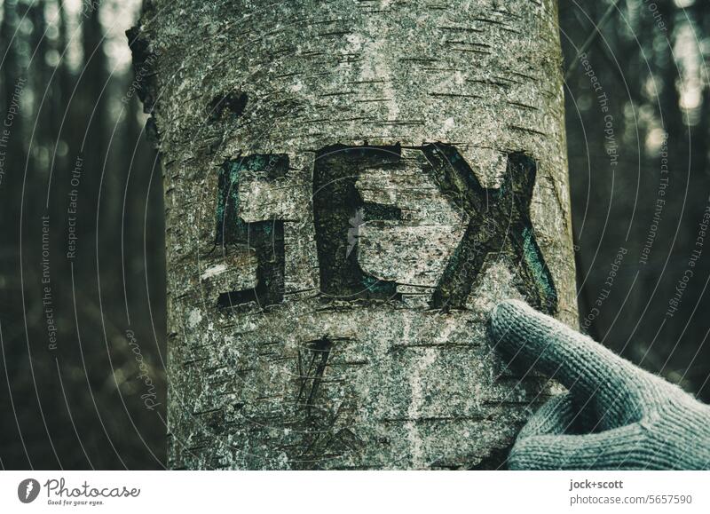 Zeigefinger mit Schutz findet Sex im Wald Handschuhe Wort Schriftzeichen Typographie Baumrinde Birke Zahn der Zeit Kreativität Großbuchstabe authentisch