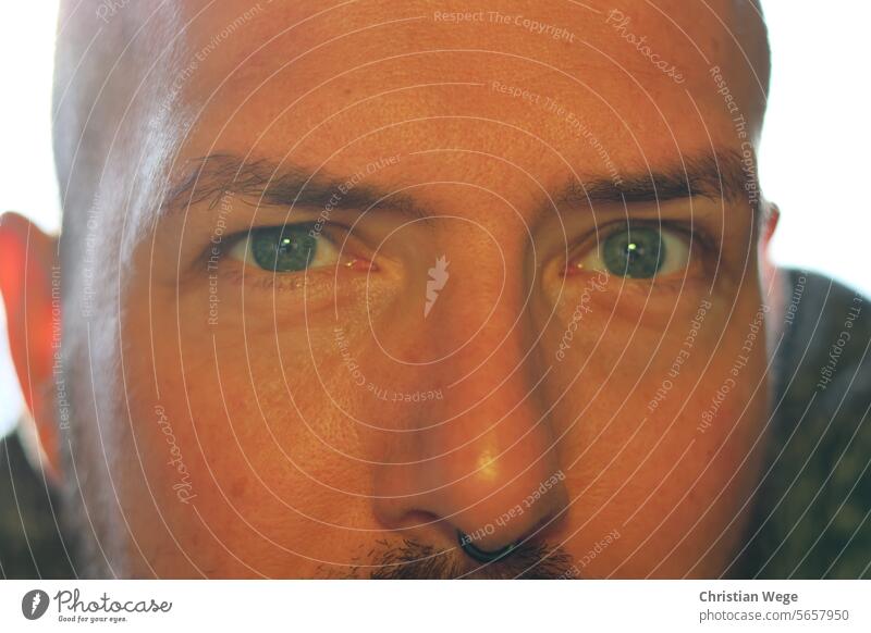 Portrait eines Mannes mit Septum Porträt Blick in die Kamera Auge Augen Augenbraue septum Pircing Mensch Gesicht Farbfoto Erwachsene Nase maskulin Innenaufnahme