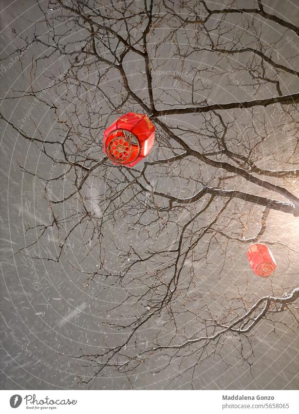 zwei chinesische Laternen, die während eines Schneesturms an kahlen Ästen hängen Chinesisch rot Chinesisches Neujahrsfest Dekoration & Verzierung Winter Baum
