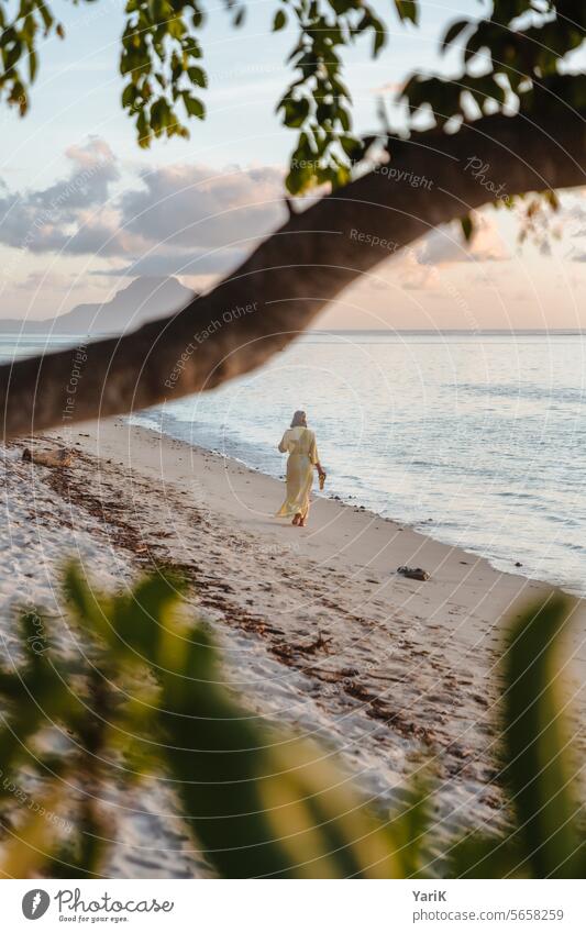 Strandspaziergang Mauritius horizont schön schönheit beauty wellness relaxen sonnenstrahlen sommer verwöhnen türkis türkisblau wasser Sonnenschein Warm ruhen