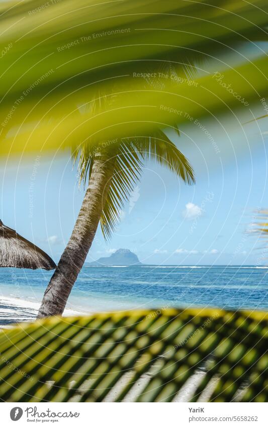 Südseetraum Mauritius Sandstrand Strand Urlaub Erholung Entspannung Reisen südsee karibisch tropisch Meer ruhen Warm Sonnenschein wasser türkisblau verwöhnen