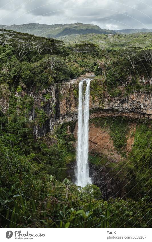 Chamarel-Wasserfall Mauritius wasserfall tropisch tropischer wald südsee regenwald dschungel Abenteuer expedition urlaub reisen sightseeing tourismus erleben