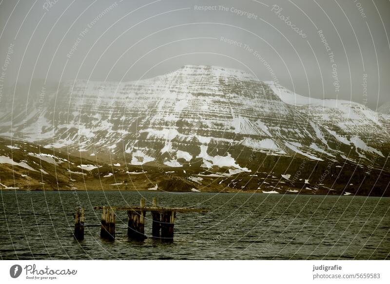 Island Landschaft Küste Fjord Natur Wasser Wasseroberfläche Stimmung Idylle Meer Himmel natürlich Reise Berge u. Gebirge Schnee kalt Klima Nebel Dunst wild