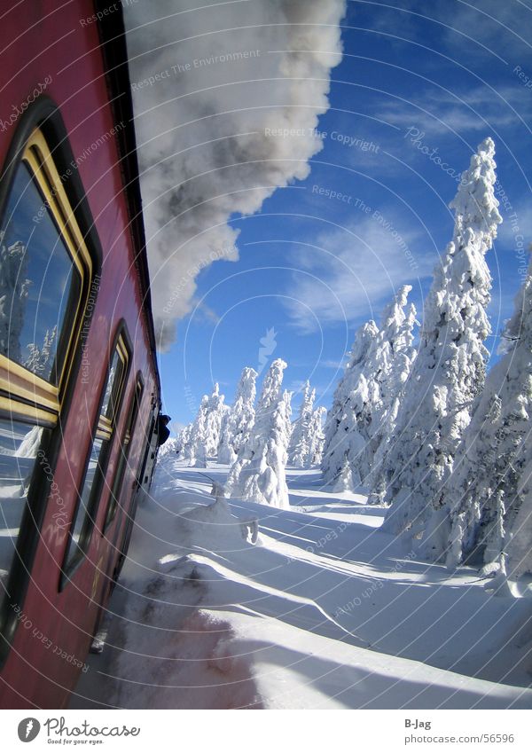 Brocken-Bahn Winter kalt weiß Eis Geschwindigkeit gemütlich Baum Schnee Fenster grau verraucht Rauch Außenaufnahme Aktion Landschaft Klarheit Eisenbahn