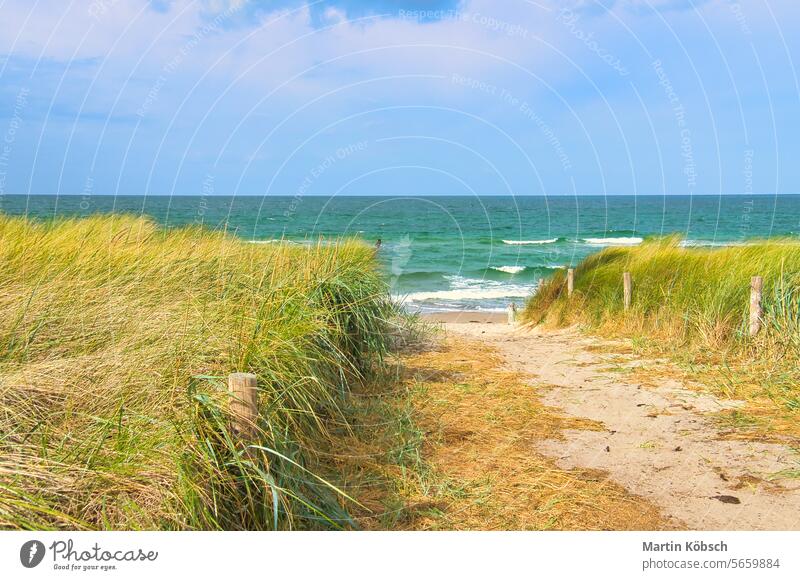 Dünenüberquerung am Strand von Zingst. Dünengras, weißer Sand und die blaue Ostsee reisen Urlaub Wasser MEER Perspektive sonnig Wolken Überleitung Meerblick