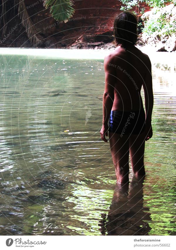 Lagune Urwald Thailand Mann Einsamkeit Wasser Typ Pflanze Schwimmen & Baden