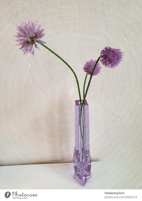 Schnittlauchblüte in Kristallglas Blüte Vase lila ästhetisch edel minimalistisch elegant schlicht blühen frisch violett Kräuter & Gewürze Pflanze blühend schön