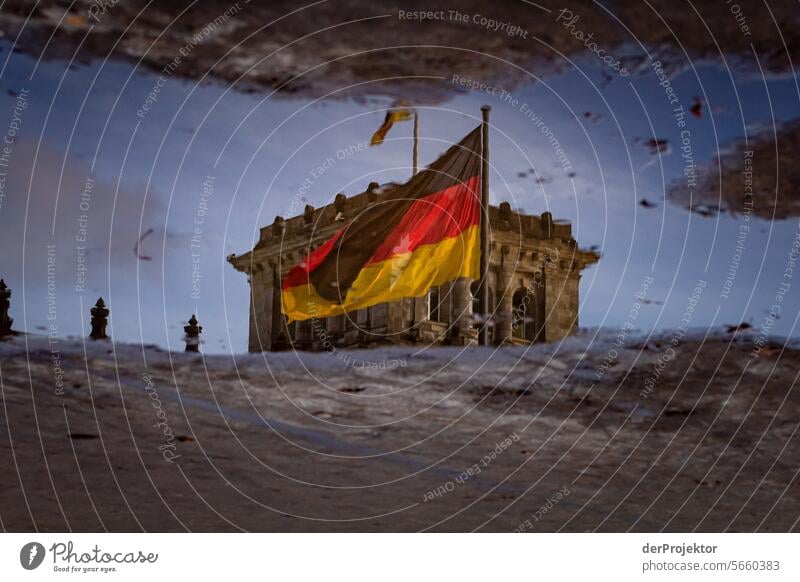 Reichstag in der Spiegelung einer Pfütze mit Deutschlandflagge metropole Freiheit Großstadt Berlin Zentrum Panorama (Aussicht) Sonnenstrahlen urban