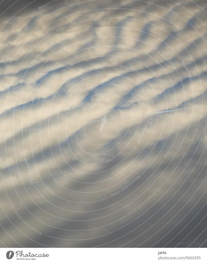 himmlisch Himmel Wolken himmlich Kondensstreifen weiß weich Wellen Strukturen & Formen Dynamik Wind Außenaufnahme Menschenleer Farbfoto Natur Tag Wetter