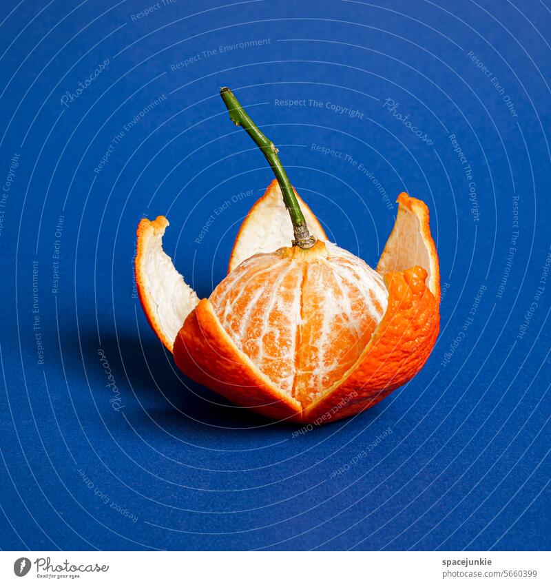 Explosion Mandarine Frucht orange Lebensmittel Ernährung Farbfoto lecker Zitrusfrüchte Vitamin Nahaufnahme Vitamin C saftig süß organisch Bioprodukte