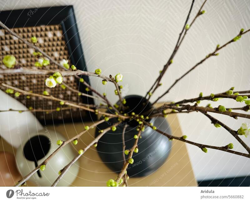 Frühling auf dem Regal Vase Deko Zweige Blüten Einrichtung Dekoration & Verzierung Innenaufnahme Knospen Unschärfe Vogelperspektive schwarz Wand Interieur