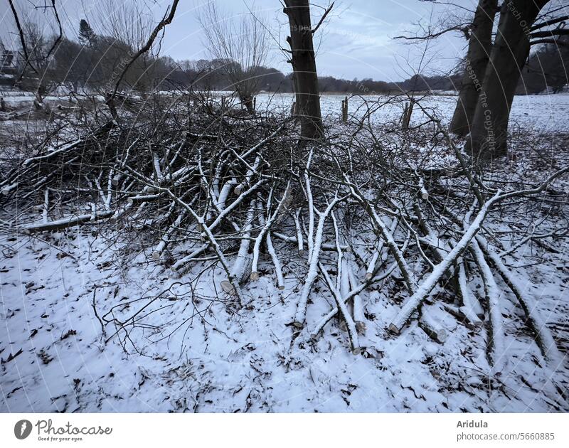 Weg damit! | Baumschnitt | Äste liegen unter Bäumen Zweige Baumpflege schneiden Garten Haufen Winter Schnee kalt Weide