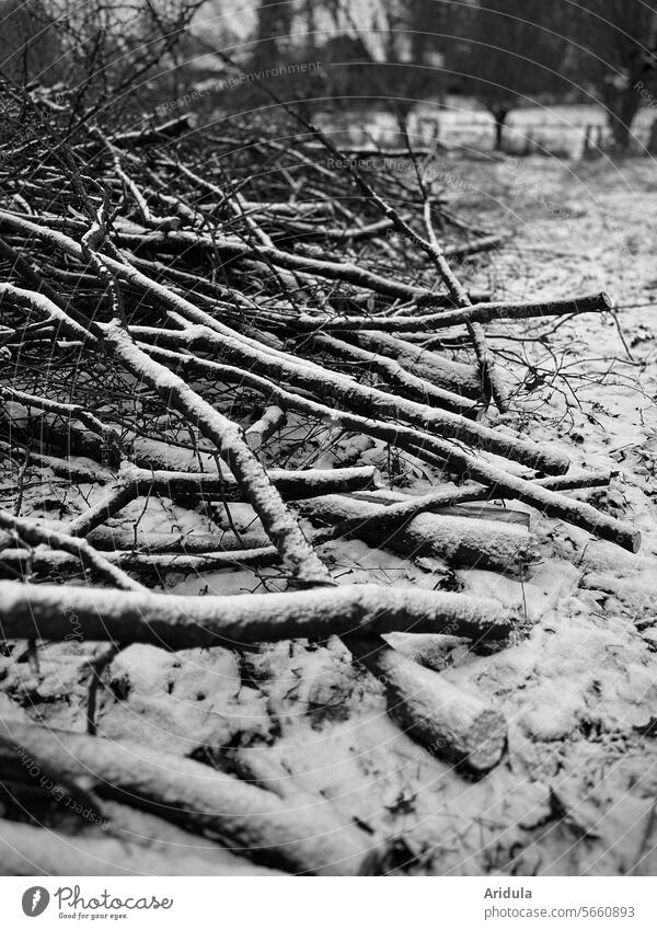 Weg damit! | Baumschnitt | Äste liegen unter Bäumen s/w Zweige Baumpflege schneiden Garten Haufen Winter Schnee kalt Weide