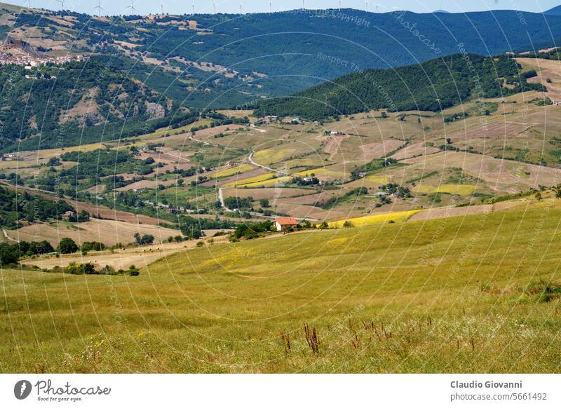 Ländliche Landschaft in der Nähe von Potenza, Basilikata, Italien Albano Europa Juli Vaglio Farbe Tag Feld grün Hügel Natur Fotografie Sommer reisen