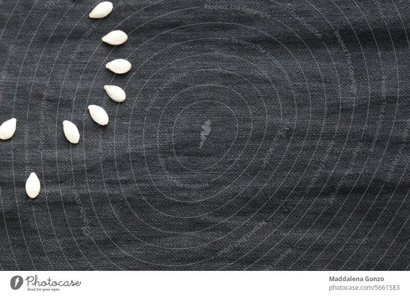 Halbkreis aus Kürbiskernen in der oberen Ecke auf dunklem Stoffhintergrund Squash Butternusskürbis Saatgut Samen kreisen eine Ausnahmeregelung Hintergrund