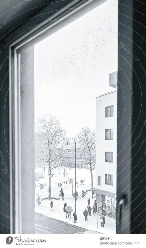 Seltener Ausblick aus meinem Fenster - Schnee in Köln Raum Fensterrahmen Fensterscheibe bedeckt Winterwetter Schneefall öffentlicher Platz Klima Wintermonat