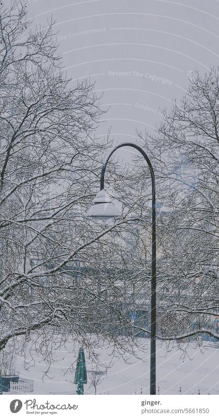 Selten zu sehen - Schnee in Köln Winter Anblick Ausblick weiß grau kalt frostig Laterne Straßenlaterne Bäume winterlich grüne Akzente Frost gefroren Kälte