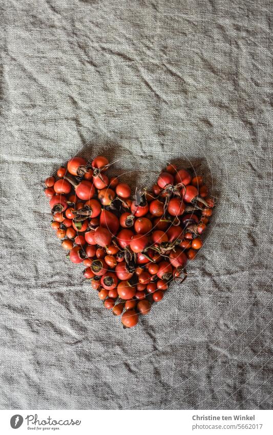 ein Herz aus roten Hagebutten herzförmig Herz (Symbol) Liebe Liebeserklärung Romantik Liebesgruß Symbole & Metaphern Verliebtheit herzlich Valentinstag