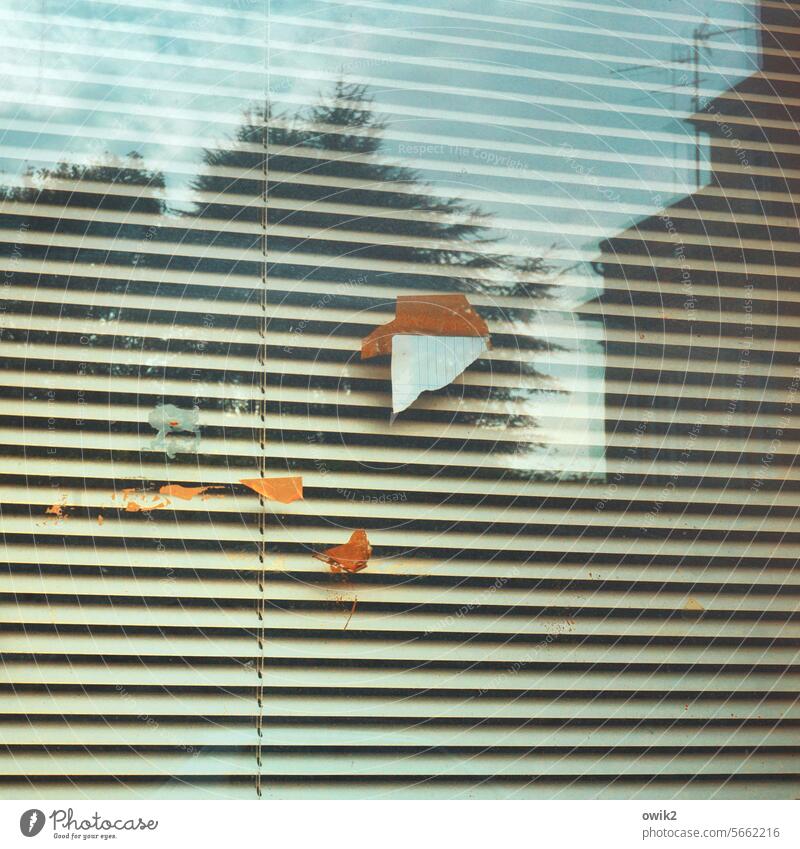 Lamellen Alltagsfotografie Nahaufnahme Fenster geschlossen Häusliches Leben Strukturen & Formen Menschenleer geheimnisvoll Jalousie Detailaufnahme Sonnenschutz