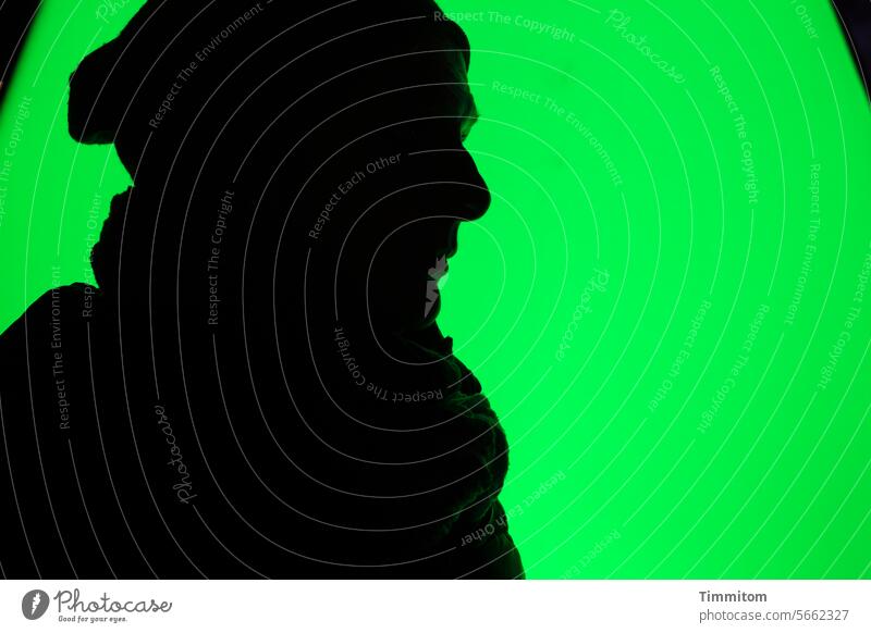 Schattenriss Silhouette Umriss Frau Kopf schwarz grün Mütze Schal Mensch Außenaufnahme Erwachsene feminin Farbfoto Beleuchtung Hintergrund