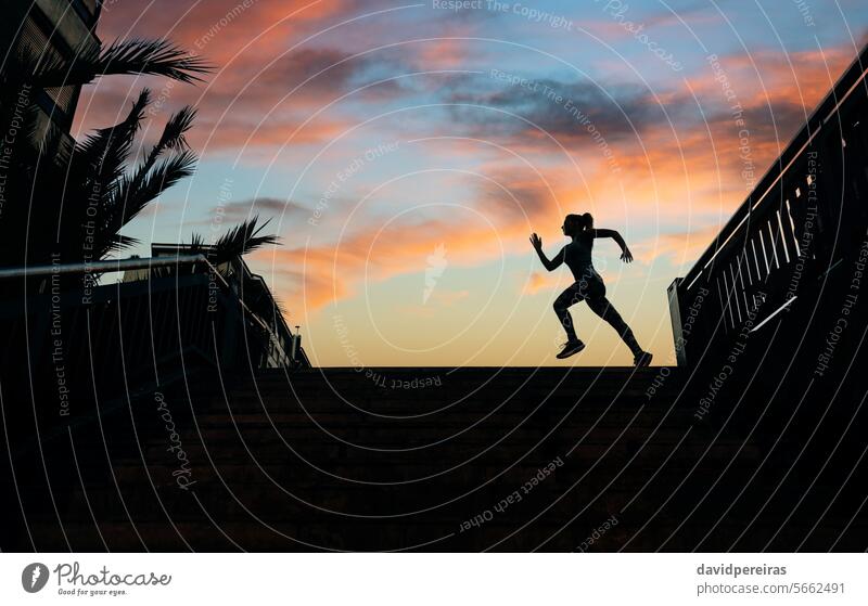 Weibliche Läuferin Silhouette läuft über städtischen Hintergrund mit Palmen und Sonnenuntergang Himmel unkenntlich Frau rennen Figur Schatten Training