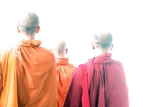 Mönche Thailand Glatze Robe Tracht rot gelb Umhang Religion & Glaube Erkenntnis Licht Gegenlicht Geistlicher Buddhismus Asien Asiate Buddha orange Kopf