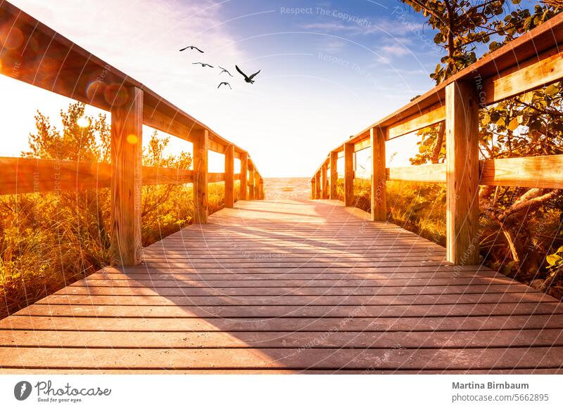 Uferpromenade zum Strand auf Sanibel Island, Florida USA Landschaft Promenade Sonnenuntergang Natur Urlaub Pier MEER Sonnenaufgang Meer Himmel reisen Steg