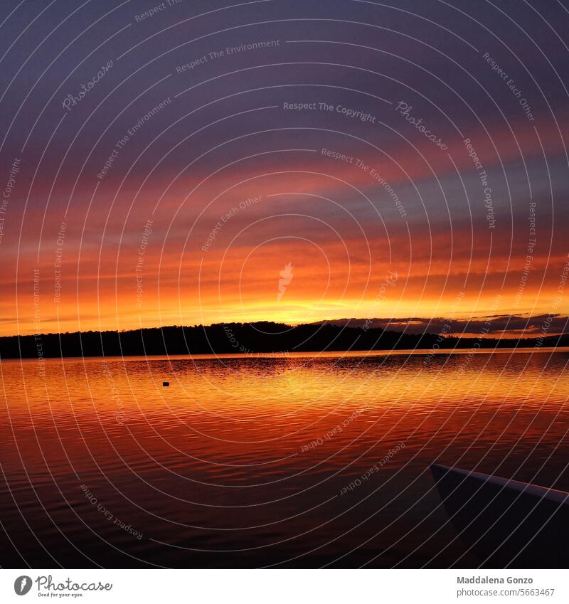 Feuer Sonnenuntergang auf kanadischem See Sommer rot gelb orange purpur mehrfarbig kampfstark Betrachtungen schwarz Außenaufnahme Farbfoto dunkel Natur