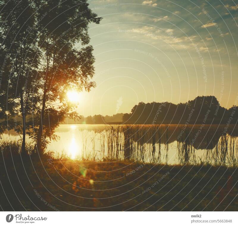 Dazu Edvard Grieg Morgenstimmung Sonnenaufgang Landschaft Natur morgens Sonnenlicht ruhig Morgennebel Außenaufnahme Nebelschleier Stimmung Idylle Umwelt Licht