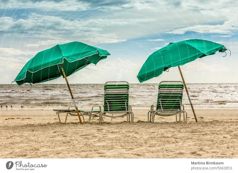 Liegestühle und Sonnenschirme an einem Strand in Florida Loungesessel reisen Sand Stuhl sonnig Sommer blau Erholung Himmel idyllisch sich[Akk] entspannen Insel