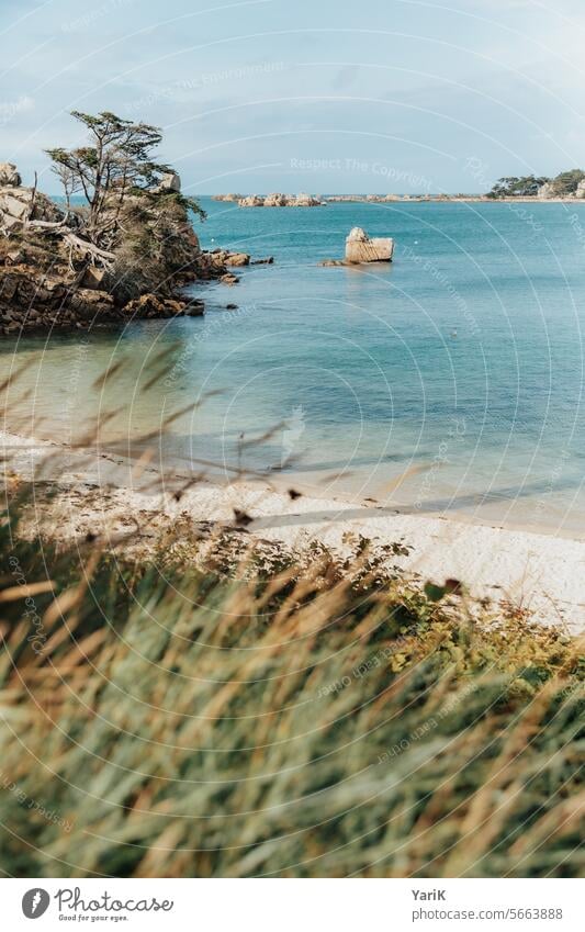 Bretagne - Südseefeeling Sandstrand blau Küste meeresbrise wellen Wasser Felsen rau muscheln entspannung Blauer Himmel Meer gezeiten Frankreich Meeresufer