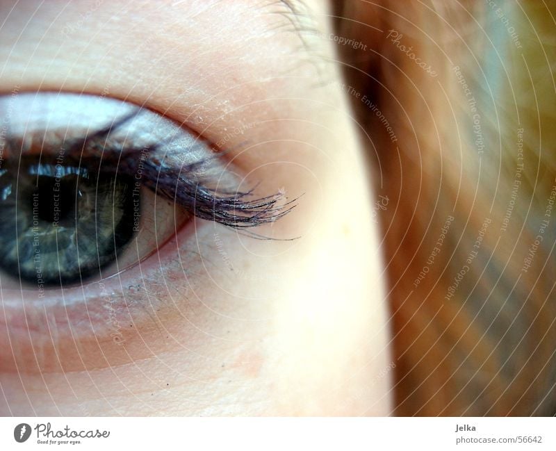 Ei, ei, ei, ... Haare & Frisuren Gesicht Wimperntusche Auge blau grau Lidschatten Blick Frauenaugen Pupille Nahaufnahme Augenfarbe geschminkt 1 Anschnitt