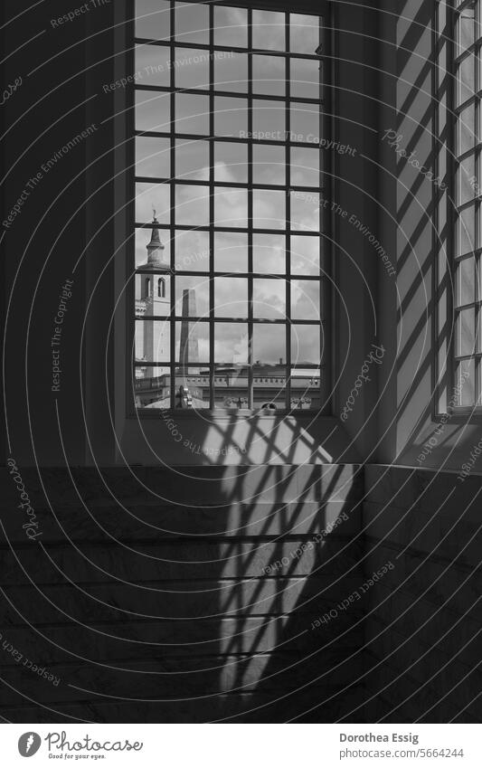 Gitterfenster mit Schattenwurf Architektur Fenster Glas Strukturen & Formen Muster schwarz-weiß Innenansicht Geometrie Treppenhaus Durchblick Gebäude Potsdam