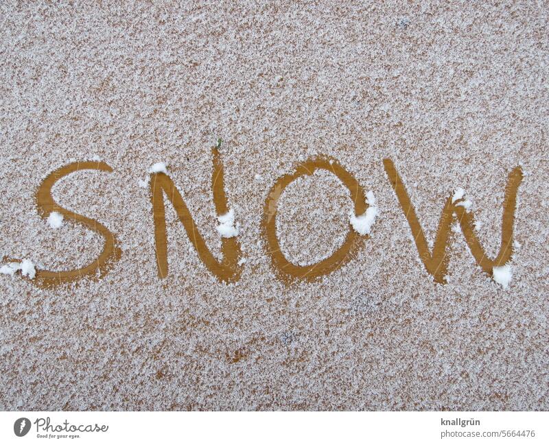 Snow Schnee Text Winter kalt weiß Außenaufnahme Spuren Menschenleer Winterstimmung Wintertag Kälte Schneespur Schneedecke verschneit winterlich schneebedeckt