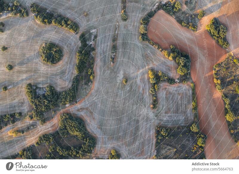 Luftaufnahme eines Flickenteppichs aus landwirtschaftlichen Feldern mit unterschiedlichen Farben und Strukturen, durchzogen von Feldwegen und kleinen Baumgruppen, die eine natürliche und doch geordnete Landschaft darstellen
