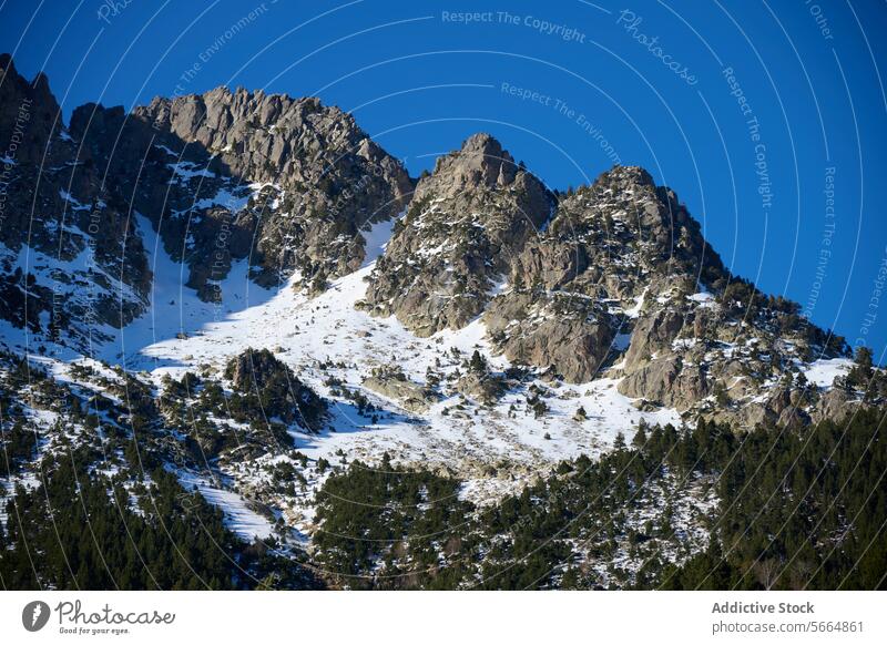 Majestätische, schneebedeckte Berggipfel und Tannenbäume Berge u. Gebirge Gipfel Schnee Kiefer Baum blau Himmel Natur im Freien Landschaft Immergrün malerisch
