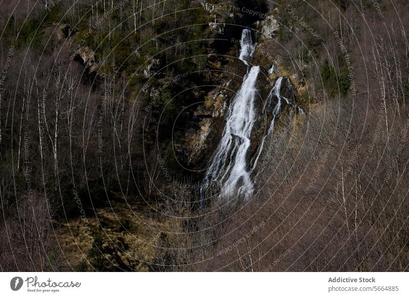 Ein majestätischer Wasserfall stürzt über zerklüftete Felsen zwischen kahlen Bäumen und goldenen Gräsern im Valle de Eriste in den Pirineos von Huesca, Aragonien, Spanien.