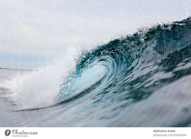 Majestätische Meereswellen, die sich im kristallklaren Wasser kräuseln winken Eisschießen MEER blau übersichtlich Kraft Natur aquatisch Brandung Textur marin