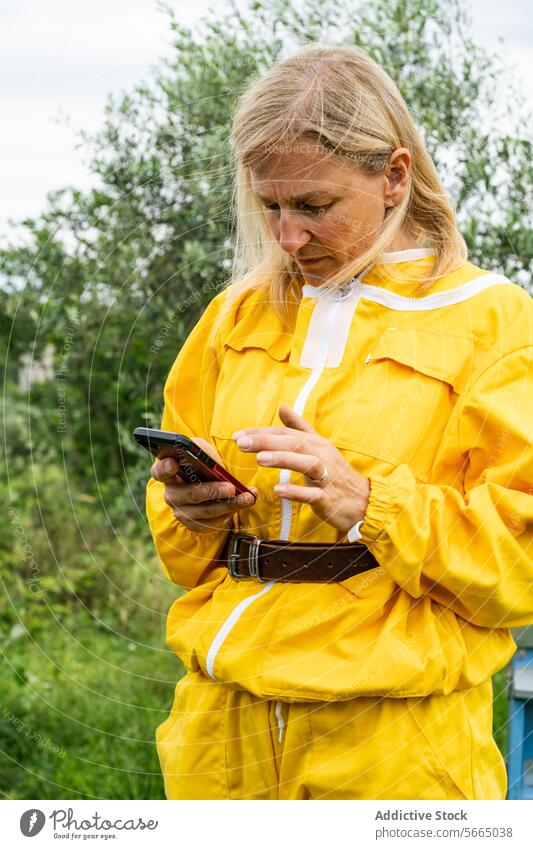 Konzentrierte reife Frau mit Smartphone im Bienenstock Bienenkorb Imker gesamt Handy Fokus benutzend Apparatur Bienenzucht Natur Gerät Konzentration Anschluss