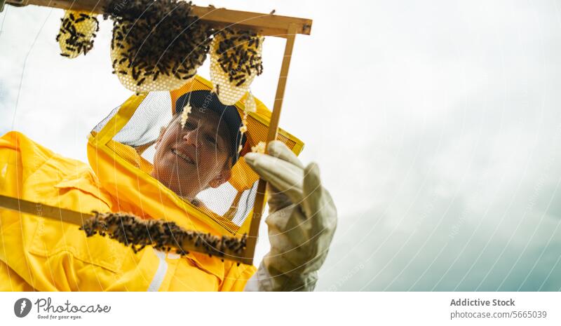 Gut gelaunter Imker bei der Kontrolle des Bienenstocks Frau prüfen heiter Glück Wabe Lächeln Handschuh gesamt Erwachsener Arbeit professionell positiv Gerät