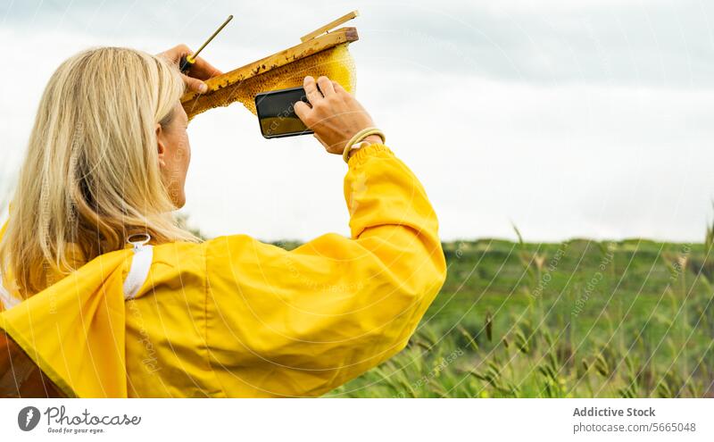 Unbekannte Frau fotografiert Bienenwaben mit Smartphone Imker fotografieren Feld Landschaft benutzend Rahmen Kamm Anzug Erwachsener Sommer Moment stehen