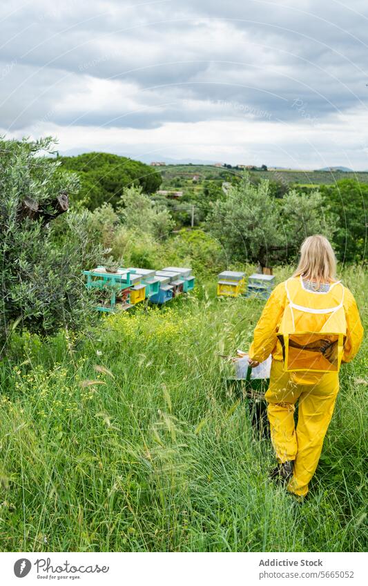 Rückenansicht einer nicht erkennbaren Frau mit Brille und gelbem Imkerschutzanzug mit Schubkarre bei der Arbeit in einem grünen Bienenhaus Wiese Bienenkorb