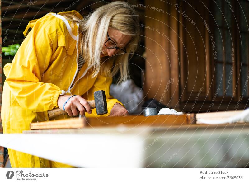 Ältere Frau arbeitet an einem Tisch in einer Werkstatt Hammer Arbeit Bienenkorb fixieren Bienenstock Rahmen Senior Konzentration Arbeitsbereich gesamt hölzern