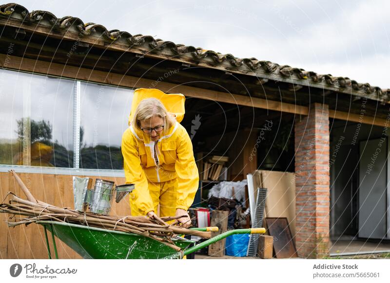 Konzentrierte reife Frau bei der Arbeit am Bienenstand Konzentration gesamt Schubkarre Dame Fokus Bienenkorb Brille Natur gealtert Dorf Senior Werkzeug